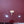 Load image into Gallery viewer, Cassina / BRAMANTE