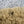 Load image into Gallery viewer, ferm LIVING / Form Wool Rug Large