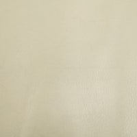 Molteni＆C / Large  / モルテーニ