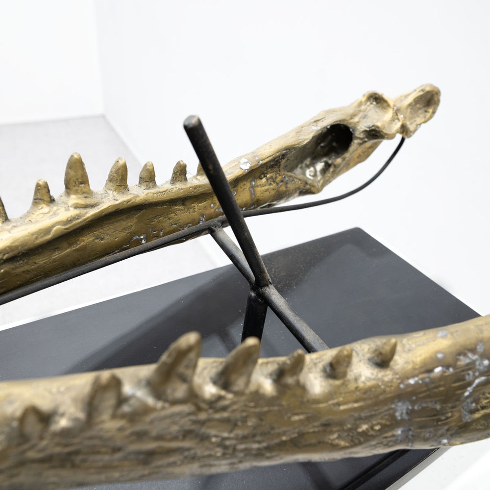 Ateliers C&S Davoy / GOLD CROCODILE HEAD ON
