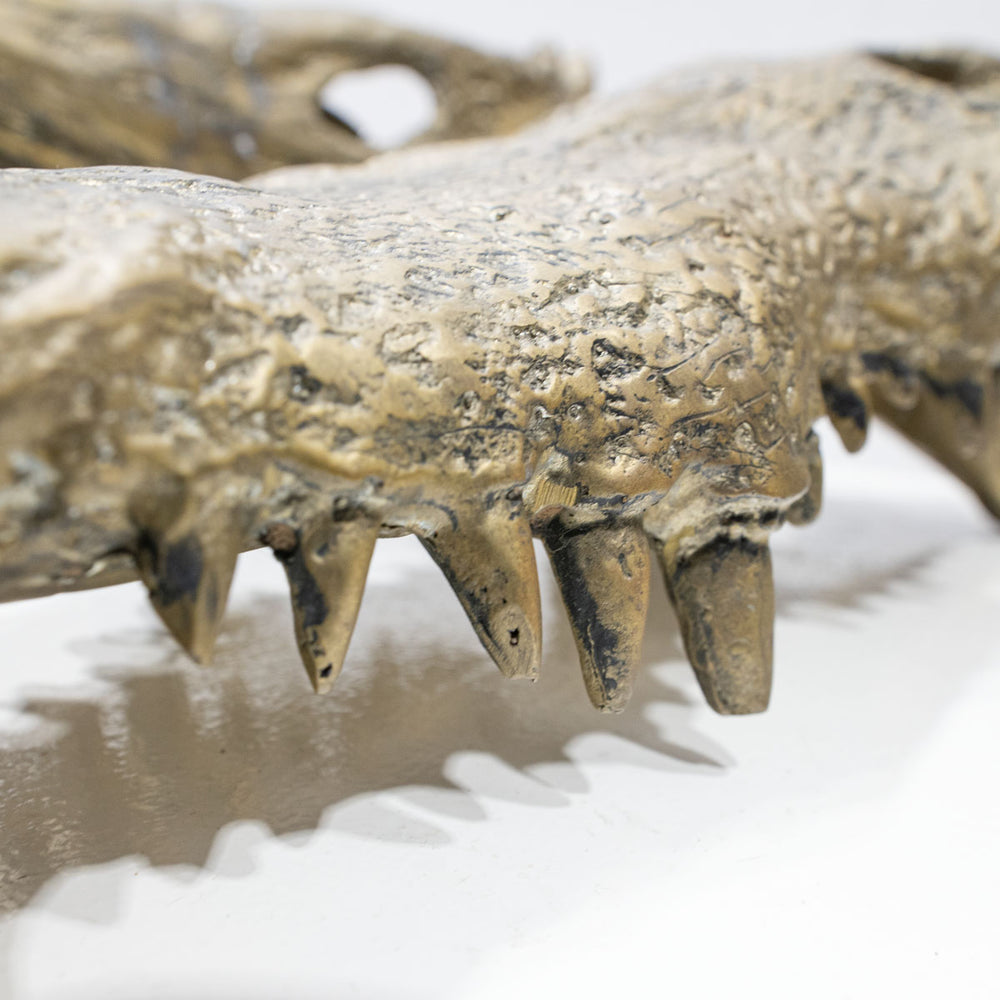 Ateliers C&S Davoy / GOLD CROCODILE HEAD ON