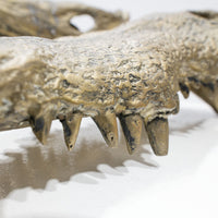 Ateliers C&S Davoy / GOLD CROCODILE HEAD ON