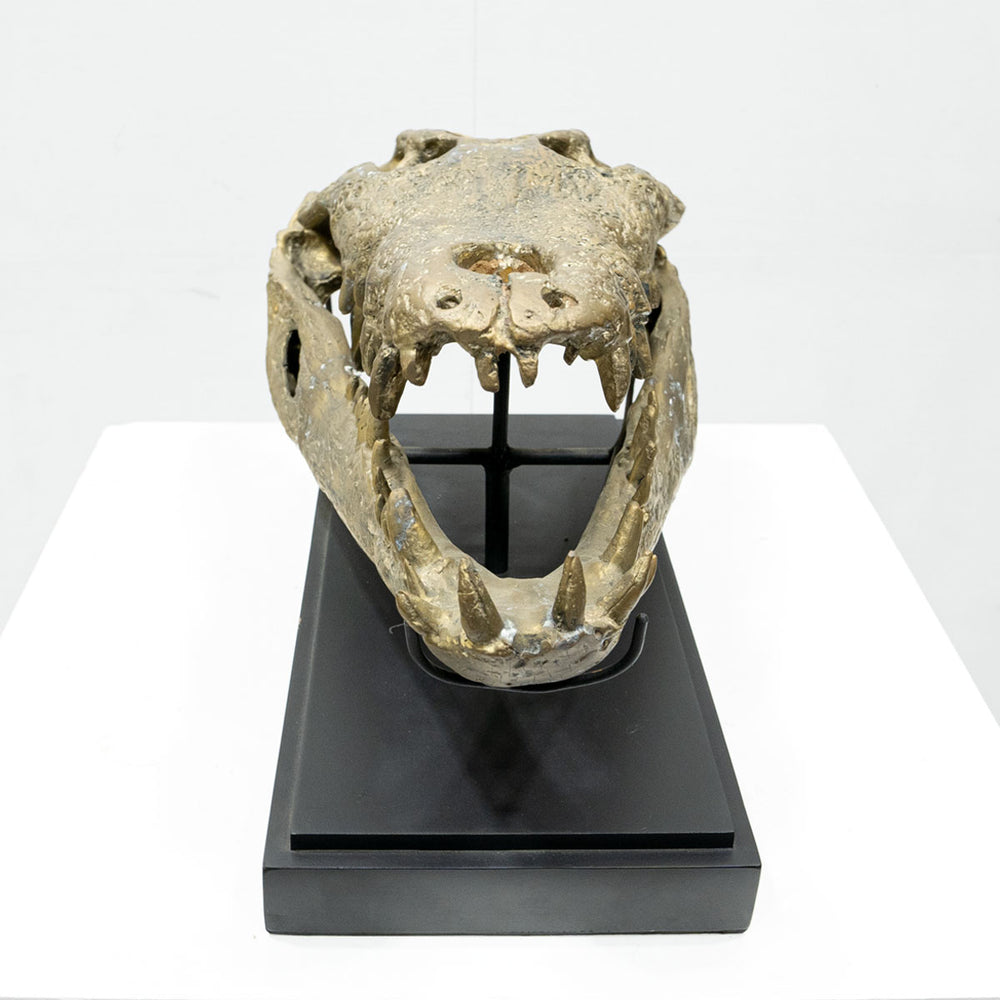 Ateliers C&S Davoy / GOLD CROCODILE HEAD ON