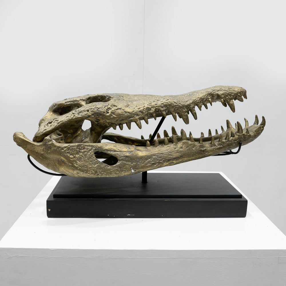 Ateliers C&S Davoy / GOLD CROCODILE HEAD ON