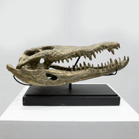 Ateliers C&S Davoy / GOLD CROCODILE HEAD ON