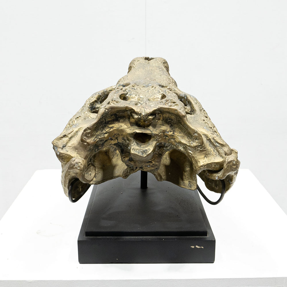Ateliers C&S Davoy / GOLD CROCODILE HEAD ON