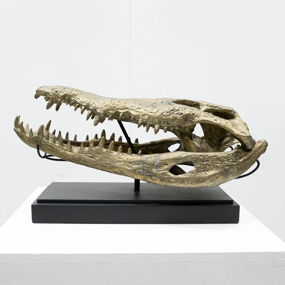Ateliers C&S Davoy / GOLD CROCODILE HEAD ON
