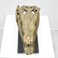 Ateliers C&S Davoy / GOLD CROCODILE HEAD ON