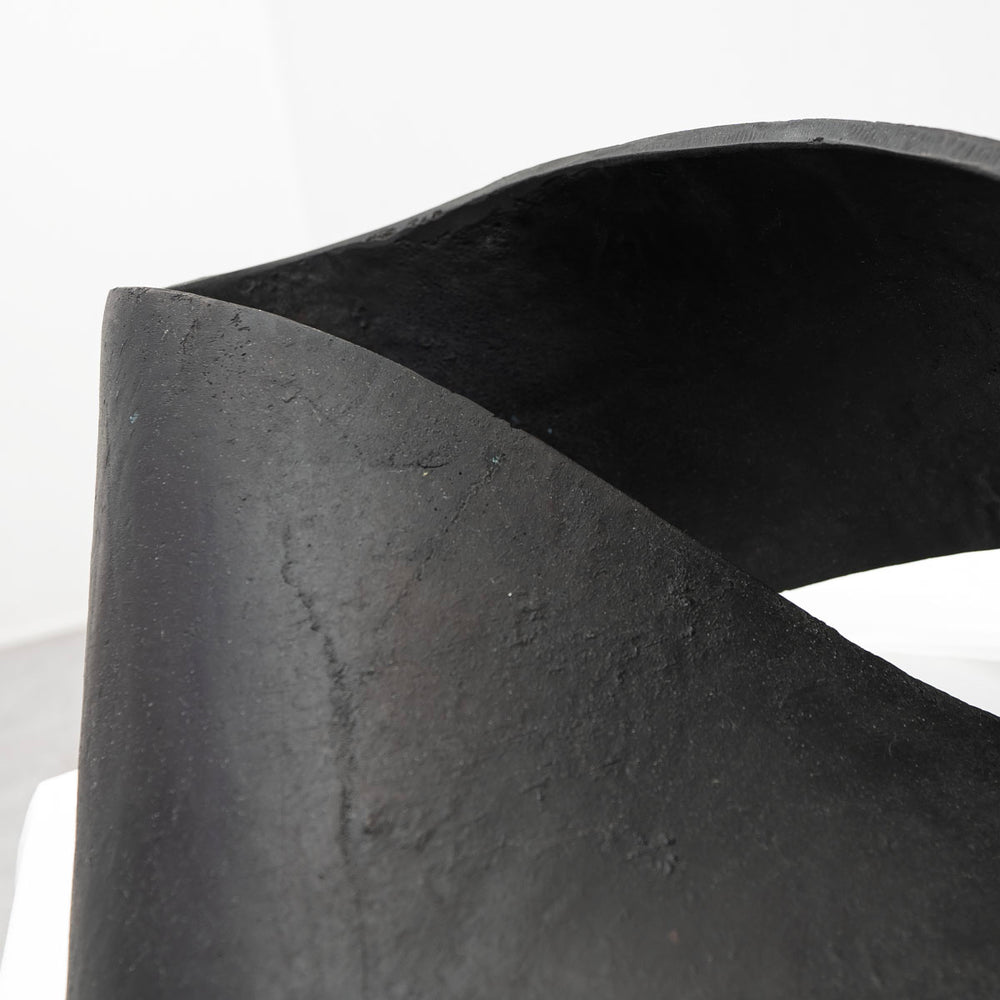 Ateliers C&S Davoy / MOEBIUS KNOT BLACK