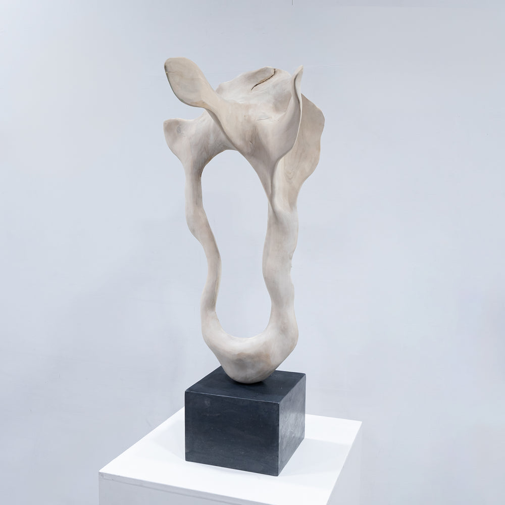 IMPORT COLLECTION / Of Modern Nature