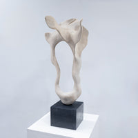 IMPORT COLLECTION / Of Modern Nature
