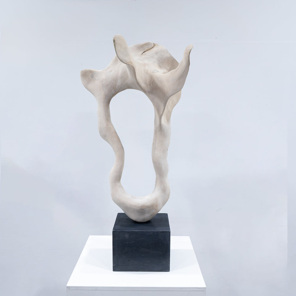 IMPORT COLLECTION / Of Modern Nature