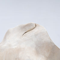 IMPORT COLLECTION / Of Modern Nature