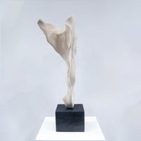 IMPORT COLLECTION / Of Modern Nature