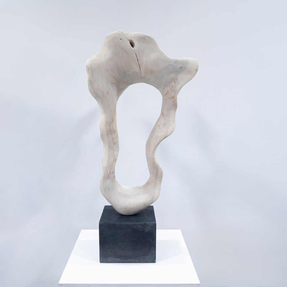 IMPORT COLLECTION / Of Modern Nature