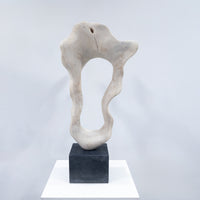 IMPORT COLLECTION / Of Modern Nature