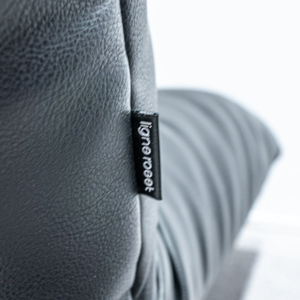 ligne roset / ROSETCALIN 2P Sofa,Ottoman