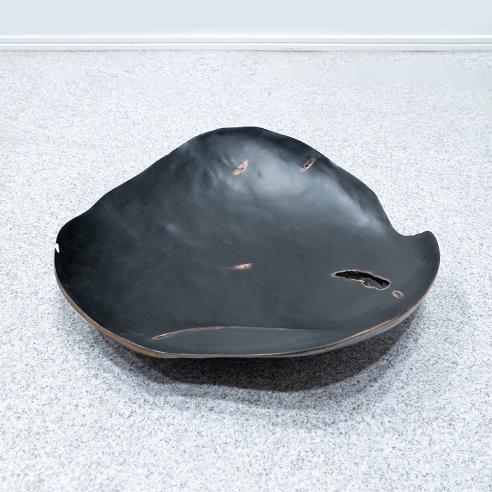 IMPORT COLLECTION / BLACK PLATE