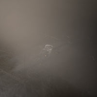 【展示品】USM / Haller / ユーエスエム