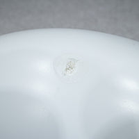 B&B ITALIA / PAPILIO SHELL