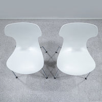 B&B ITALIA / PAPILIO SHELL
