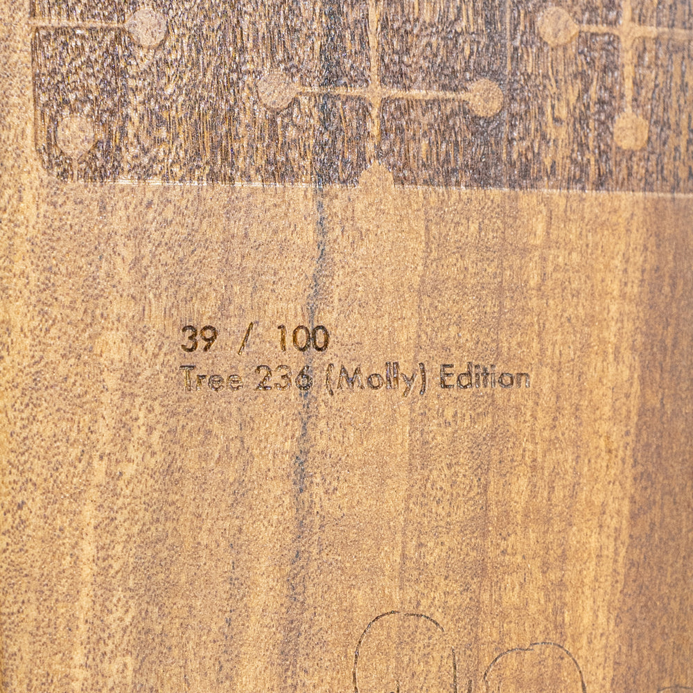 Eames Office × GLOBE / Eames Eucalyptus Skateboard Deck