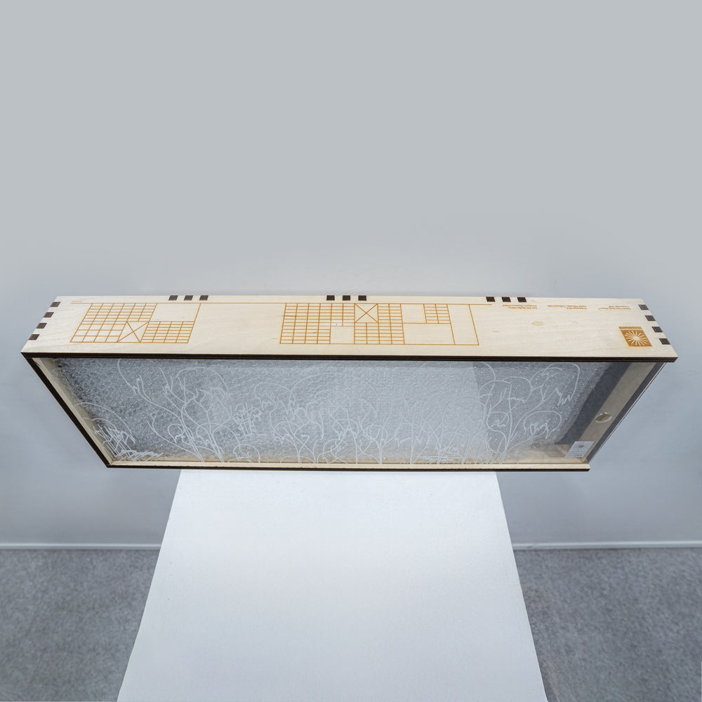 Eames Office × GLOBE / Eames Eucalyptus Skateboard Deck