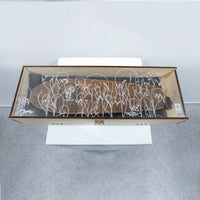 Eames Office × GLOBE / Eames Eucalyptus Skateboard Deck