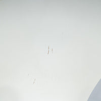 FRITZ HANSEN / SERIES 7