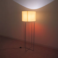 Minotti / FRANCIS