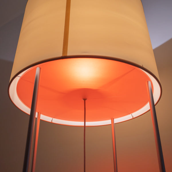 Minotti / FRANCIS