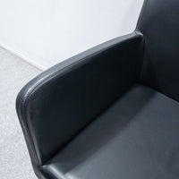 【中古品】Poltrona Frau / LIZ Armchair / ポルトローナ・フラウ