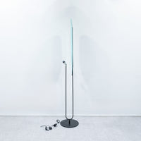 Roche Bobois / ROBIN FLOOR LAMP