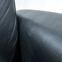Ekornes / Stressless Blues Medium