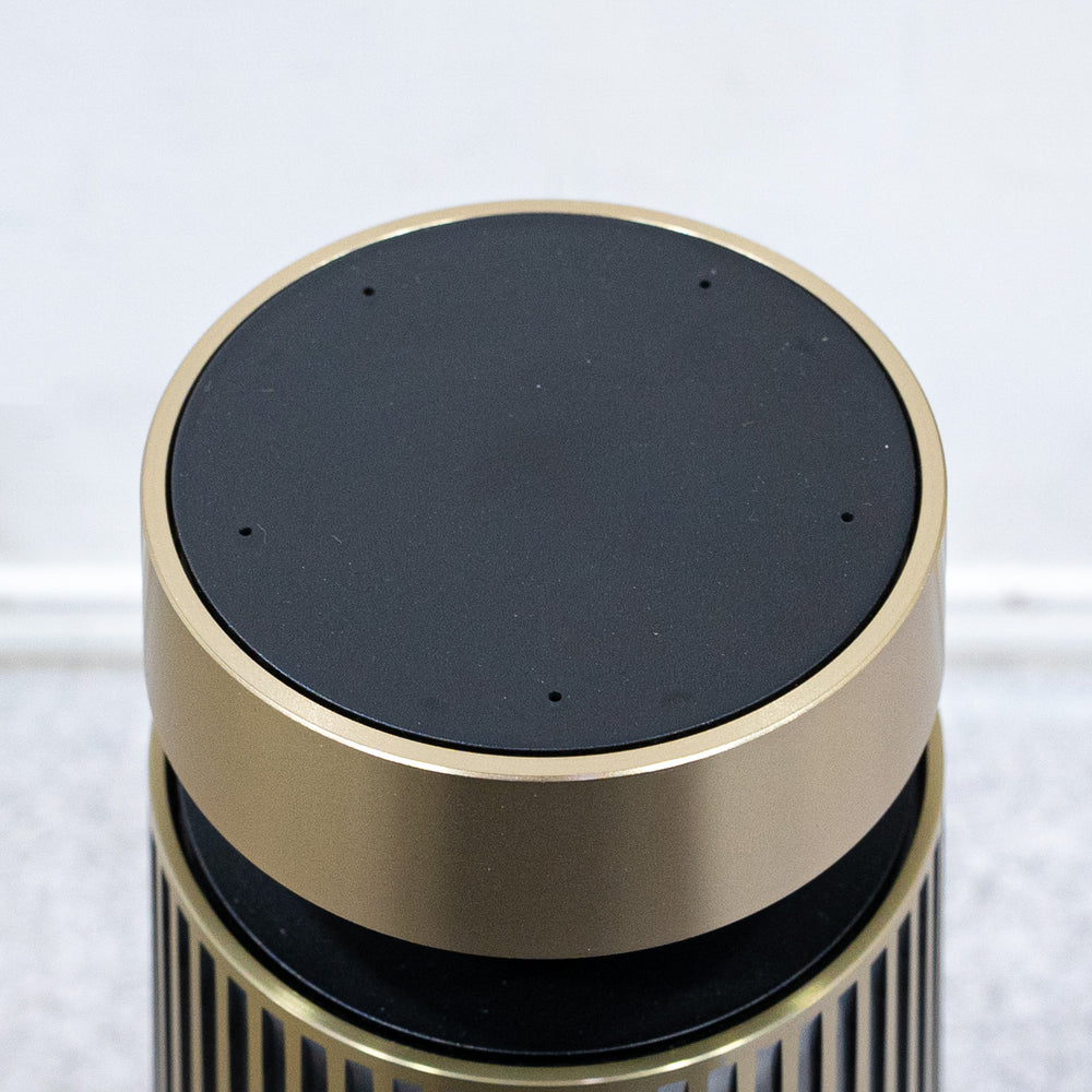 Bang & Olufsen / Beosound 2 2nd Gen Brass Tone