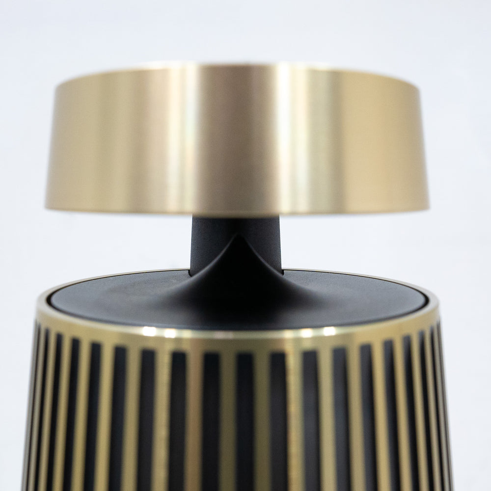 Bang & Olufsen / Beosound 2 2nd Gen Brass Tone