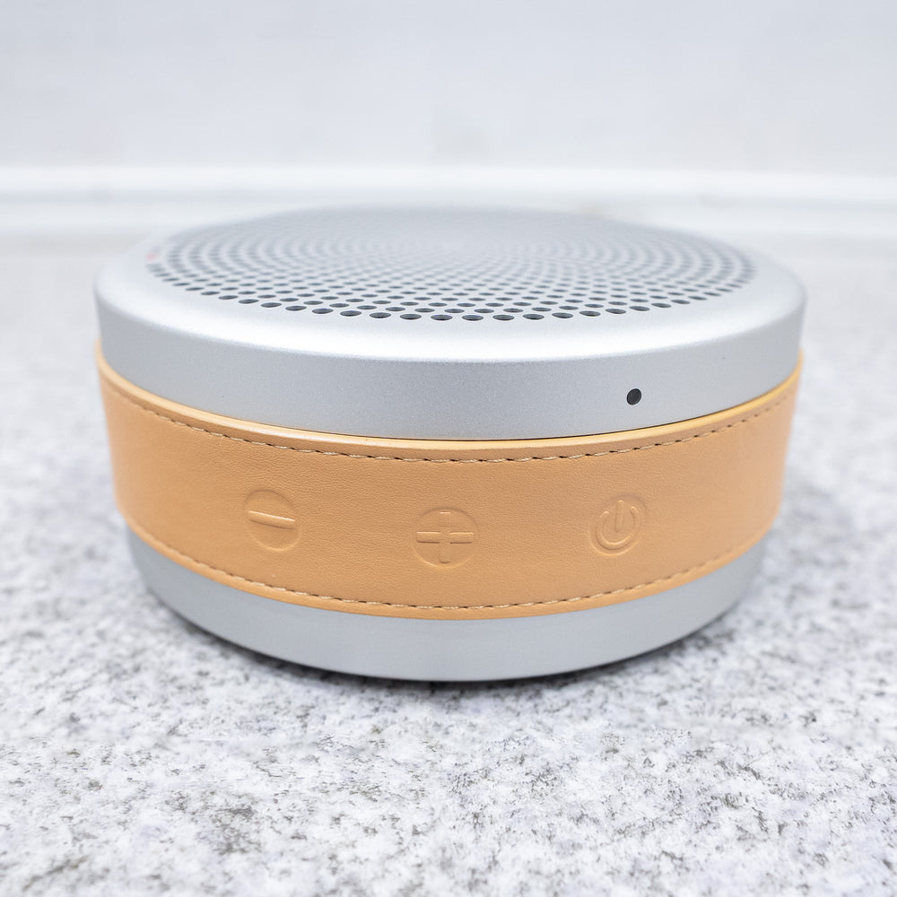 Tivoli Audio / ANDIAMO Silver