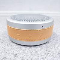 Tivoli Audio / ANDIAMO Silver