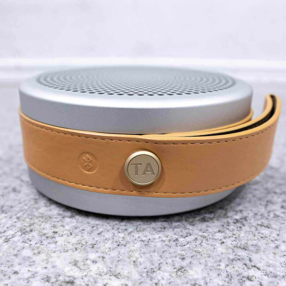 Tivoli Audio / ANDIAMO Silver