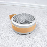 Tivoli Audio / ANDIAMO Silver