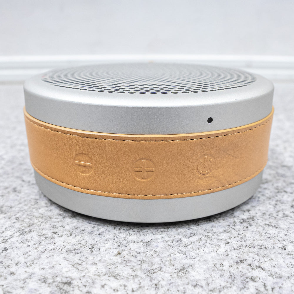 Tivoli Audio / ANDIAMO Silver