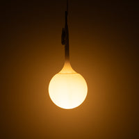 Artemide / CASTORE SOSPENSIONE 25 / アルテミデ