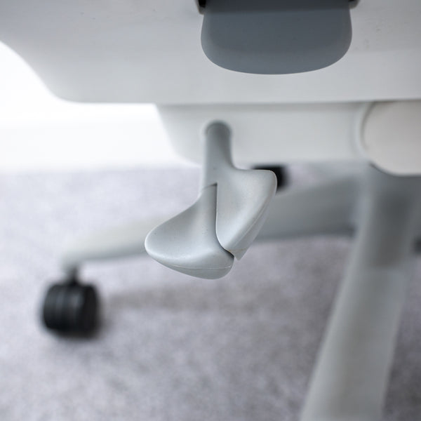 Herman Miller / Sayl Chairs