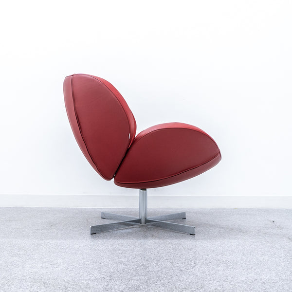 BoConcept / Schelly