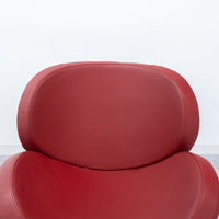BoConcept / Schelly