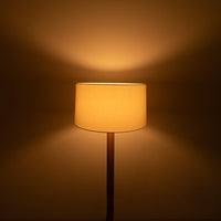 【展示品】SANTA&COLE / FAD FIJAFLOOR LAMP / サンタ＆コール