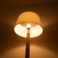 【展示品】SANTA&COLE / FAD FIJAFLOOR LAMP / サンタ＆コール