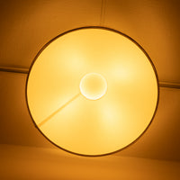 yamagiwa / BAUMN Ceiling Light φ450mm / ヤマギワ