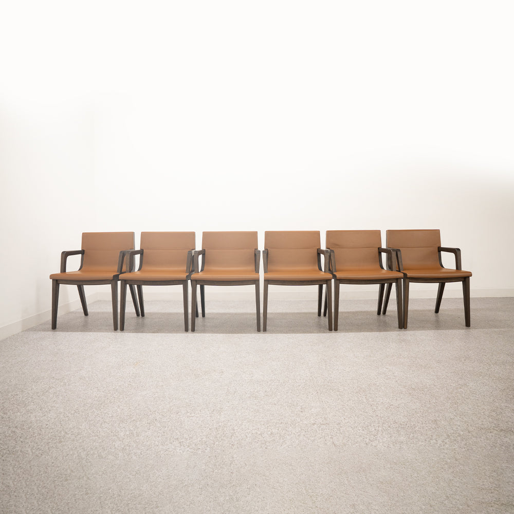【展示品】MAXALTO / ACANTO 6脚セット / マクサルト
