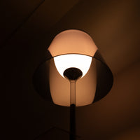 FLOS / BIBLIOTHEQUE / フロス